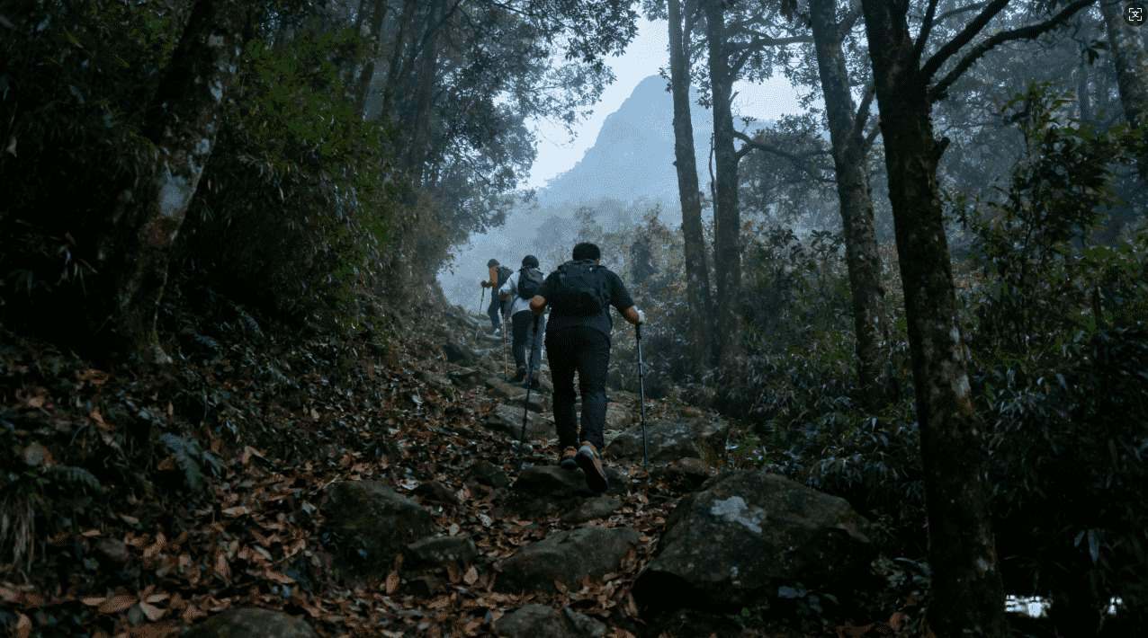 如何获取袋鼠加速器免费破解版资源